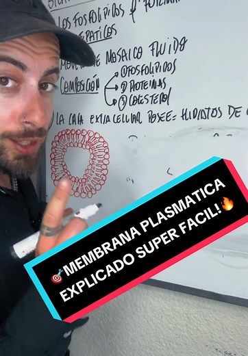 Funciones y Estructura de la Membrana Plasmática