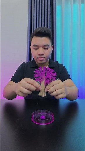 Growing crystal trees