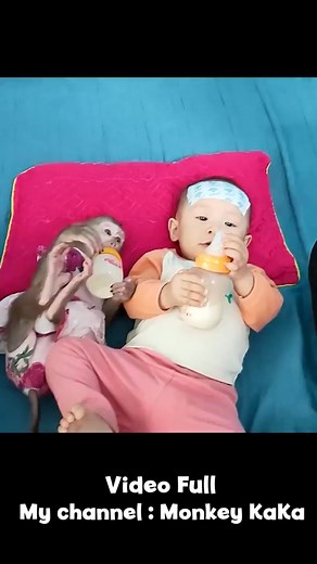Baby learns how to drink milk from Monkey Hair Red 3 #short | KaKa Key