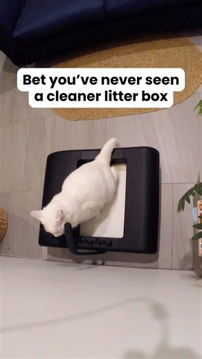 407K views · 8.9K reactions | PetyPot is a game-changing,...