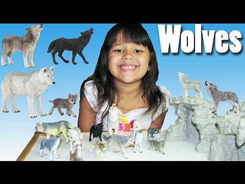 Wolves Schleich Papo Wolf Toys Playing and Storytime | Animal Toys For Kids