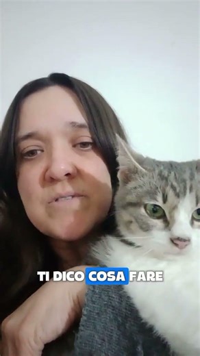 Manuale pratico cyberbullismo #difesa