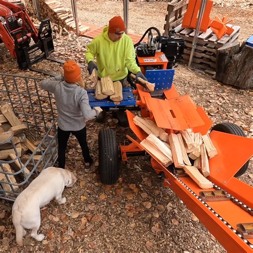 19K views · 652 reactions | 2nd half of the splitting session re-splitting the splits into smaller bundle size pieces with the Eastonmade Wood Splitters 37D with attached conveyor. #firewood #wood #splits #bundles #logsplitter All music is under a license from Epidemic Sound allowing me to use these tracks and for my video to be available globally. | Back 40 Firewood | Facebook