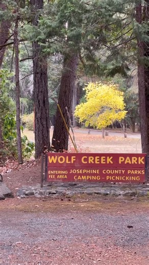 Find Josephine County’s quietest campground just north of Grants Pass at Wolf Creek Park. Tucked away along the creek and just a few minutes from the historic @wolfcreekinn , this shady campground is perfect for those who enjoy privacy. Even during the busy summer months, this is the park to find a last minute camping spot. While there, hike along the old-growth London Peak Trail, explore Golden Ghost Town, and visit the Wolf Creek Inn, a well known stagecoach stop with famous guests. #explorejo