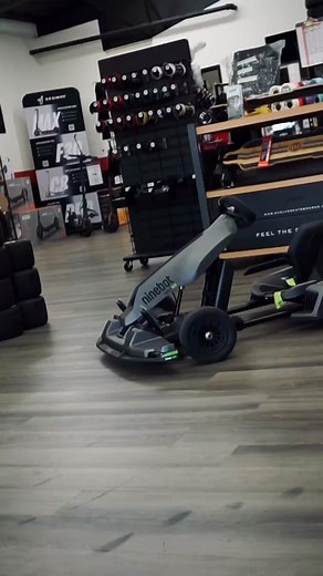 Experience the Thrill with Segway GoKart Pro!