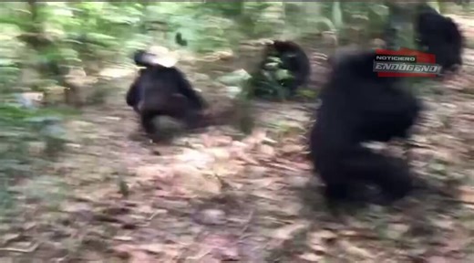 Qué horrible lo que pasó en México, hermanos mexicanos están bien? @NoSoyKenos