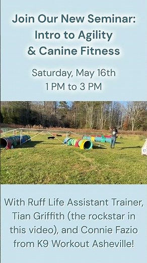 Join Ruff Life's Intro to Agility & Canine Fitness Seminar!