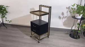 Salon Trolley Cart with Wheels, Salon Cart with 4 Holders & 2 Drawers, Mobile Hair Stylist Station for Tools Storage, Rolling OrganizerCart for Barber & Tattoo Supplies