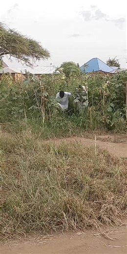 Believe Stivu (@believe.stivu)’s videos with original sound - Believe Stivu