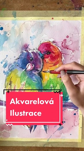 #watercolor #alvarel #art #illustration #ilustrace #tvorba #papousek #parrot #painting #malovani #drawplanetcz #howto #jaknato #tutorial