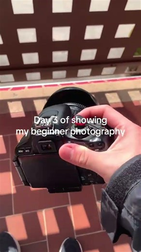 Subscribe to see how I improve! #day3 #photography #camera #leopard #cat #animal #zoo #beautiful