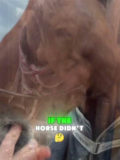 She's actually doing the horse a favor🥰🐎#shorts