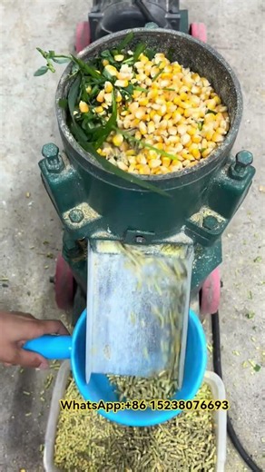 samll model feed pellet machine#Feed processing equipment#Feed pellet machine