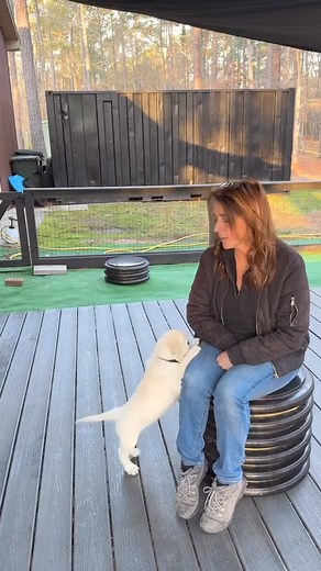 347K views · 1.4K reactions | ➡️Many of you asked to see this done...