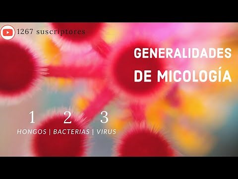 Generalidades de micología | Micosis | Micología.
