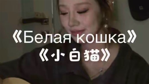 小白猫｜我会化作小白猫守护着你 《Белая кошка》