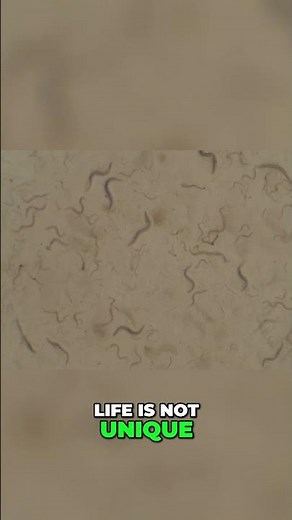 Life Beyond Earth: A Profound Discovery Awaits