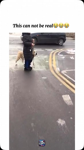 UKCLIPS on Instagram: "Full vid in bio😳 Follow @_ukclips Follow @_ukclips #ukfunnymemes #ukmemes #ukmemesquad #ukmemesdaily #funnymemesdaily"