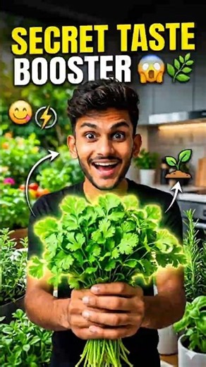 “Coriander Plant Benefits 🌿 | Improve Taste & Grow Fast at Home!” #nature #viral #ytshorts