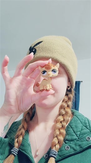 Reviving My Childhood LPS Collection