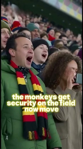 20 Monkeys Invade World Cup Stadium 🐒⚽ | Unexpected Chaos!!