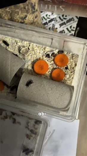 It's time I confess to you 😭