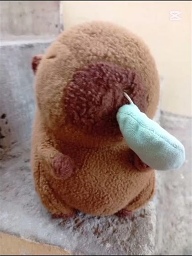 no se burlen es mi primer edit en cactu