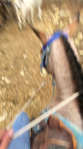 Videos de Joel Pérez 🤠 (@juniorperez8273) con “original sound - ☄️”