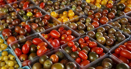 Rotten Tomatoes