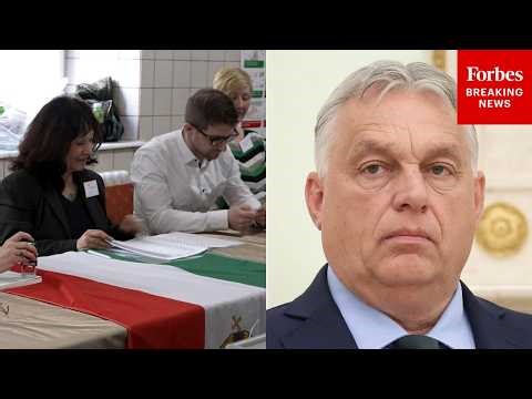 Polls Open In Hungary's Presidential Election, Setting Up Chance To Oust Viktor Orban From Power