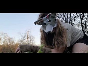 Quadrobics tutorial!😼 includes:stretches,Walk,trot,canter,sprint,long jump,high jump,small jump,