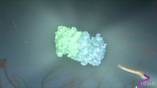 9.9K views · 79 reactions | Days are getting (very slightly)...