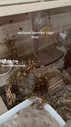 Ultimate Hamster Cage Tour: A Perfect Home for Hamsters