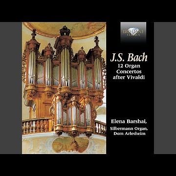 Concerto in G Major, BWV 973: I. Allegro