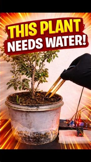 This Plant Tells You When It Needs Water 😳🌱|