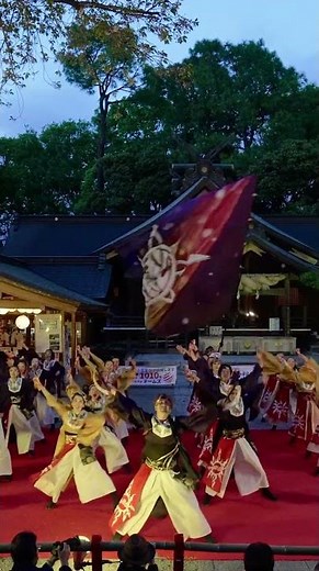 燦 -SUN-【大賞受賞演舞】｜Time To Rejoice( 第4回 よさこいご縁まつり 2026）#よさこい#燦SUN#燦#よさこいご縁まつり#出雲大社相模分祠#出雲大社 #yosakoi