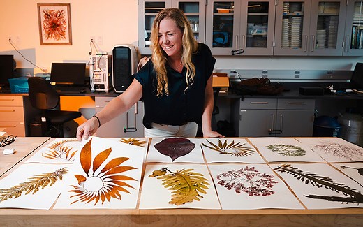 Ellen Browning Scripps Herbarium Collection Highlights the Intersection Between Art and Science