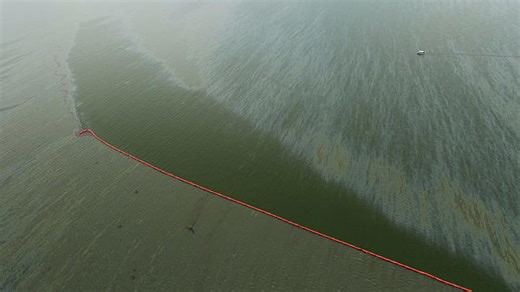 Mexico races to clean crude from Veracruz coastline