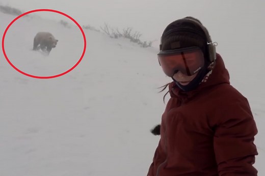 People are arguing whether this video of a bear chasing a snowboarder is real or not