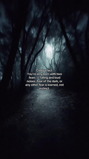 Understanding Diokophobia: The Fear of Losing Control
