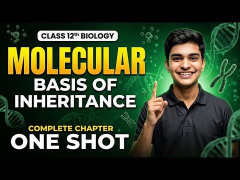 Molecular Basis of Inheritance in One Shot 🔥 | Class 12 Biology Full Chapter NCERT