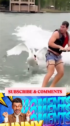 Epic Fail Compilation That Will Make Your Day #fun #comedy #prank #humour #trending #viral#memes