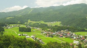 田んぼと里山
