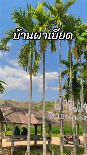 #เที่ยววันหยุด …. บ้านผาเบียด คอนสาร ชัยภูมิ 🌴🍃 #ขับรถมาชาร์ตแบตกัน