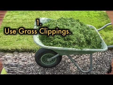 Never Buy Fertilizer Again Instead Make your Own Organic Fertilizer with just this