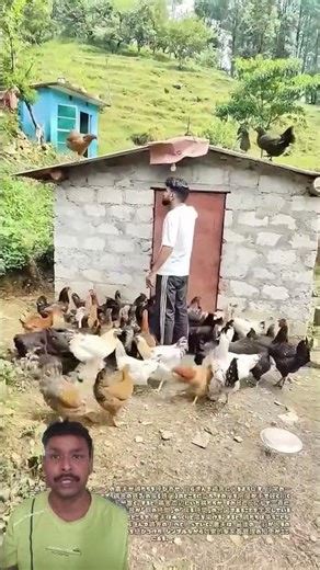 Farmer’s Genius Method to Guide Chickens Without Chasing Them #shortsfeed #shorts #trending