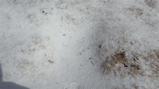 Joseph Tran on Reels