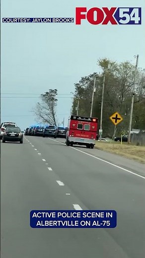 Active scene in Albertville on Highway 75