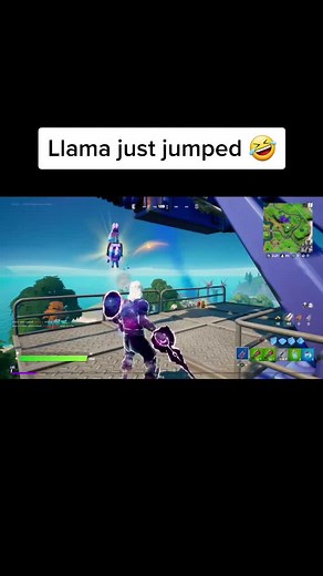 Funny Llama Jump Video