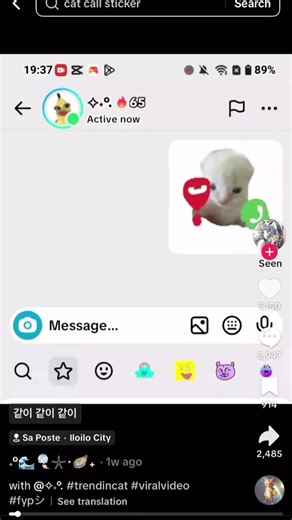 Hachimi cat cute #hachimi #cute #cat #viral